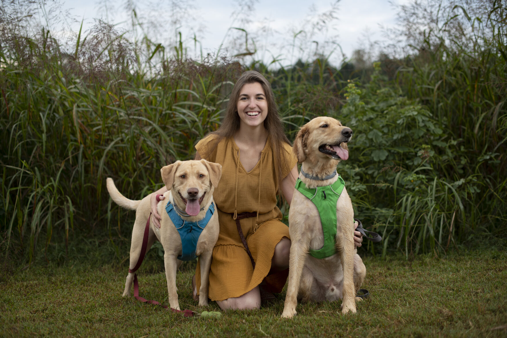 Charlotte and Dogs
